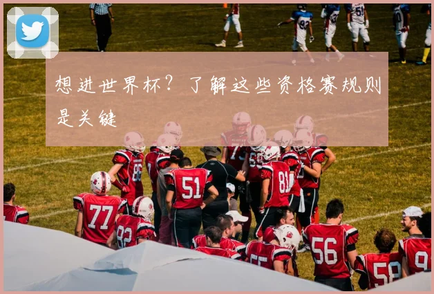 想进世界杯?了解这些资格赛规则是关键