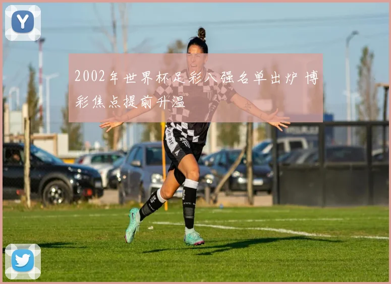 2002年世界杯足彩八强名单出炉 博彩焦点提前升温