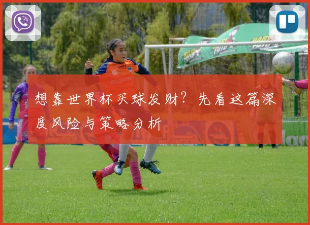 想靠世界杯买球发财？先看这篇深度风险与策略分析