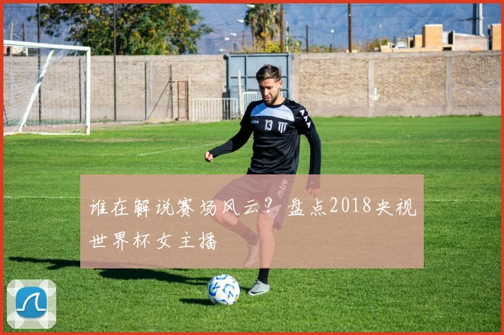 谁在解说赛场风云？盘点2018央视世界杯女主播